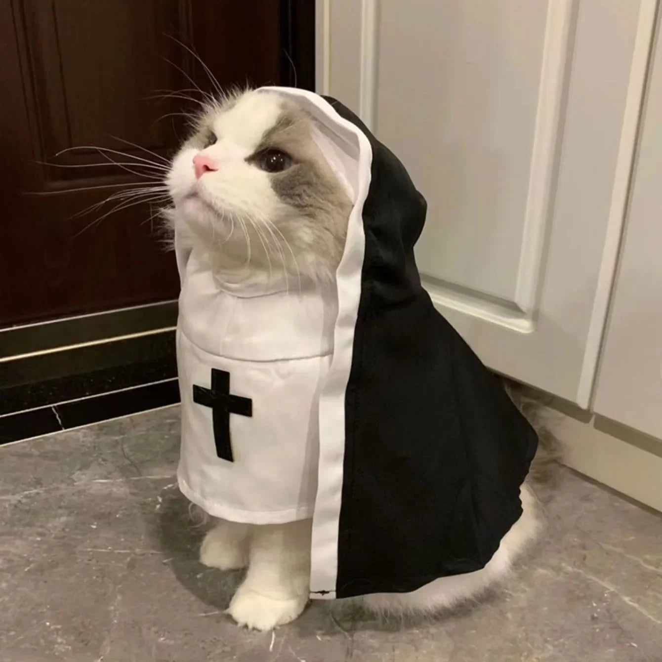 Kawaii Pet Costume 2025 – Cat & Dog Cosplay Nun Cloak Dress for Fun & Creative Play