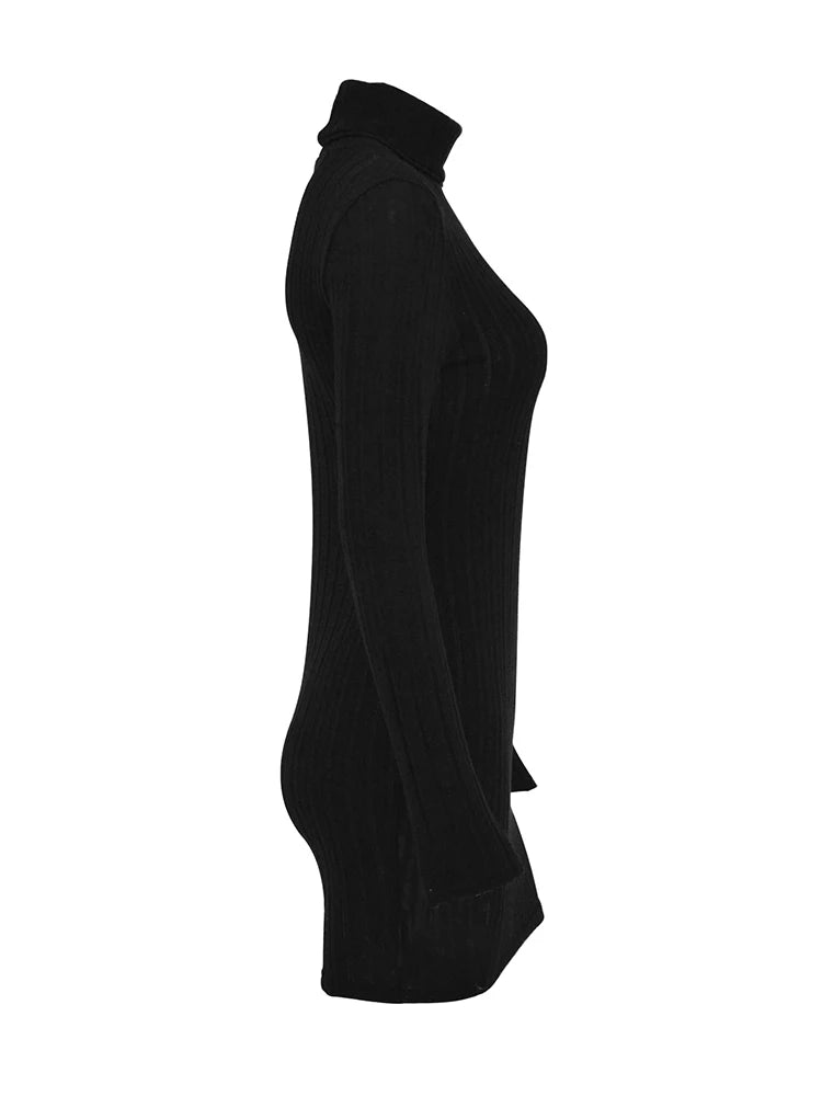 Black Mini Bodycon Dress – Turtleneck Long Sleeve Sheath Dress for Women, Party, Club & Elegant Daily Wear