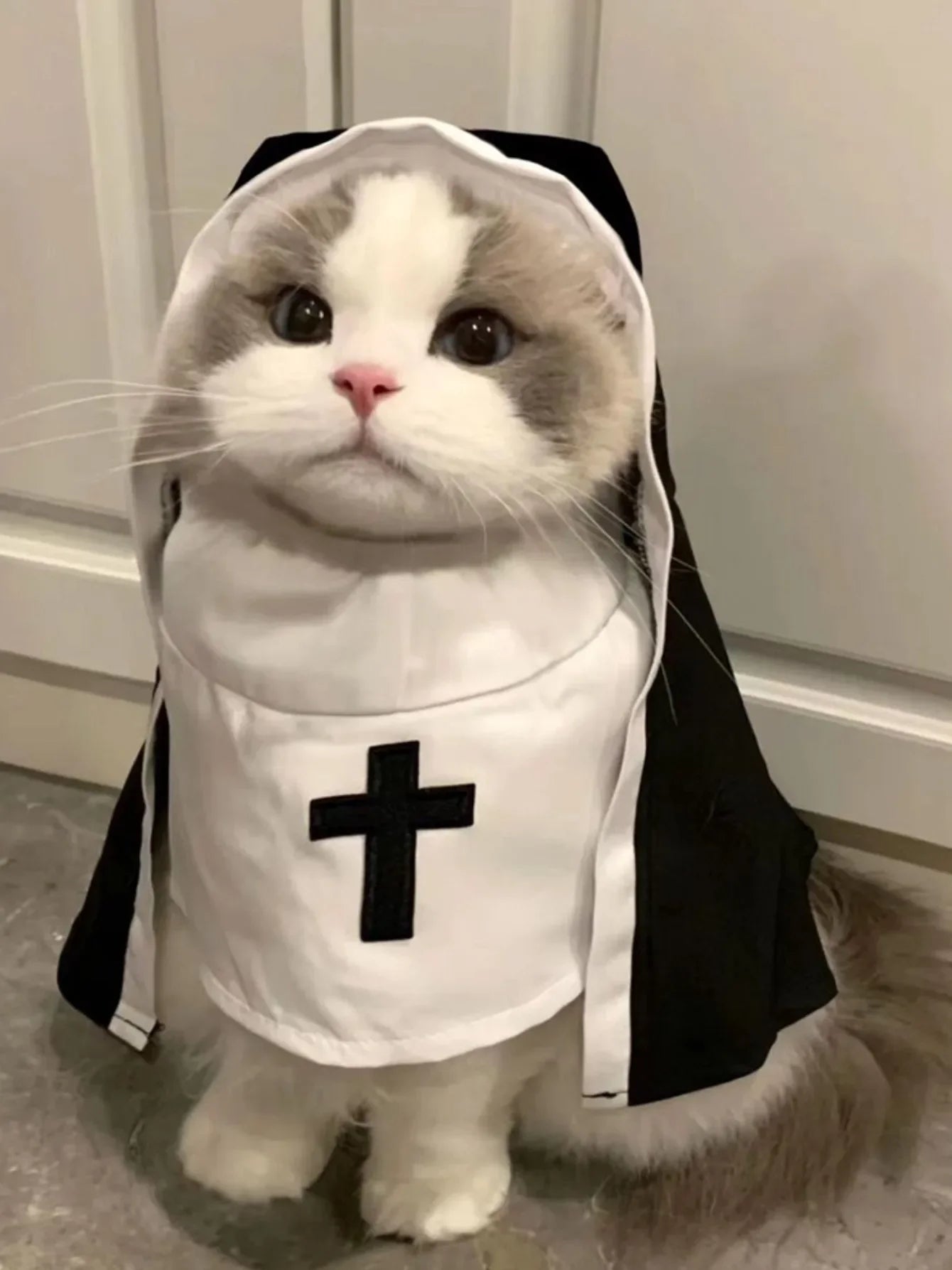 Kawaii Pet Costume 2025 – Cat & Dog Cosplay Nun Cloak Dress for Fun & Creative Play