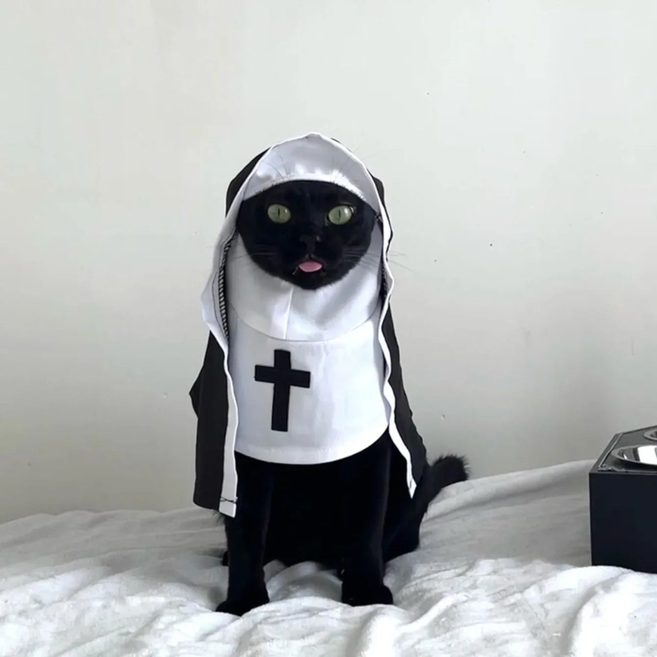Kawaii Pet Costume 2025 – Cat & Dog Cosplay Nun Cloak Dress for Fun & Creative Play