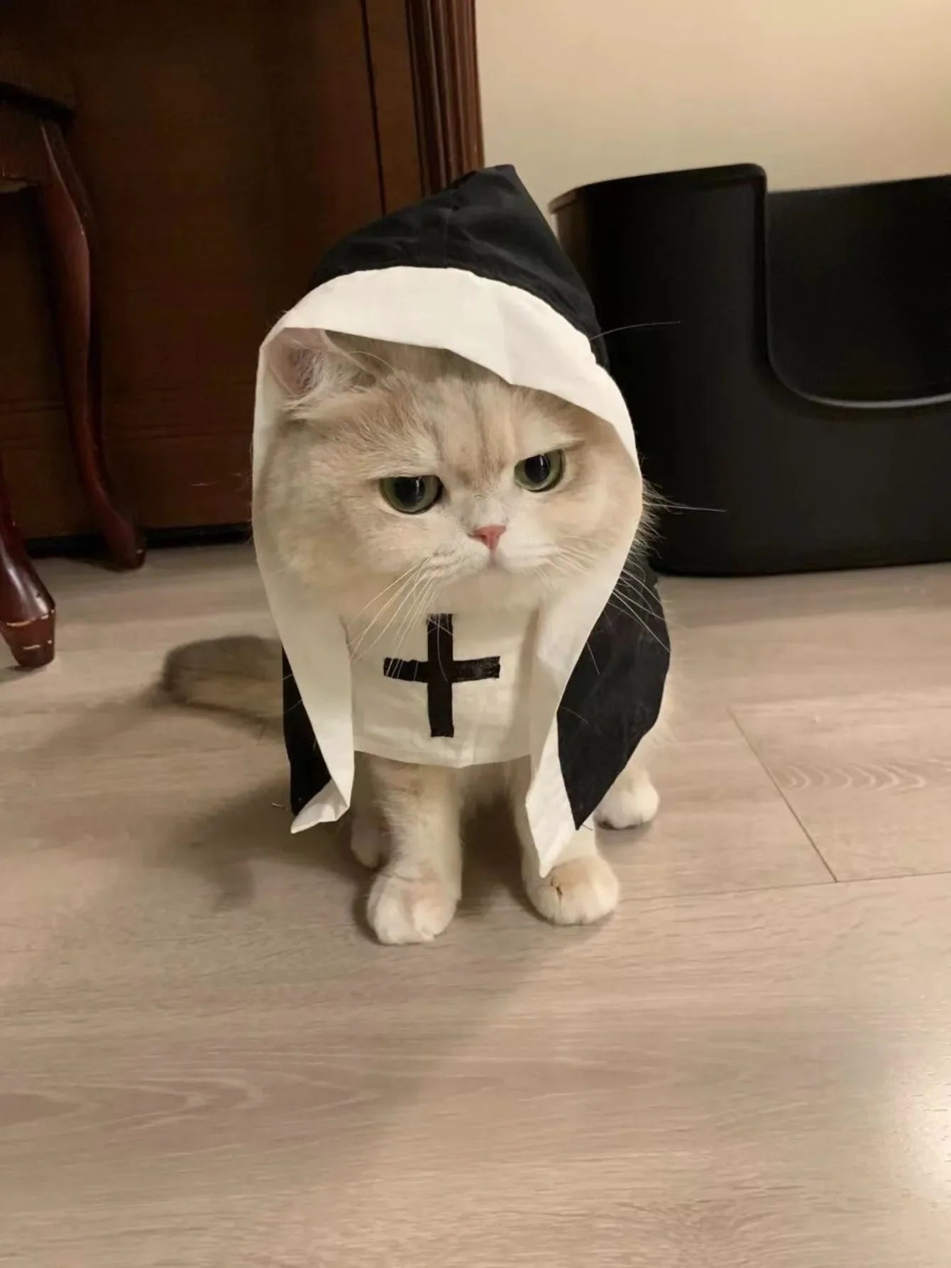 Kawaii Pet Costume 2025 – Cat & Dog Cosplay Nun Cloak Dress for Fun & Creative Play