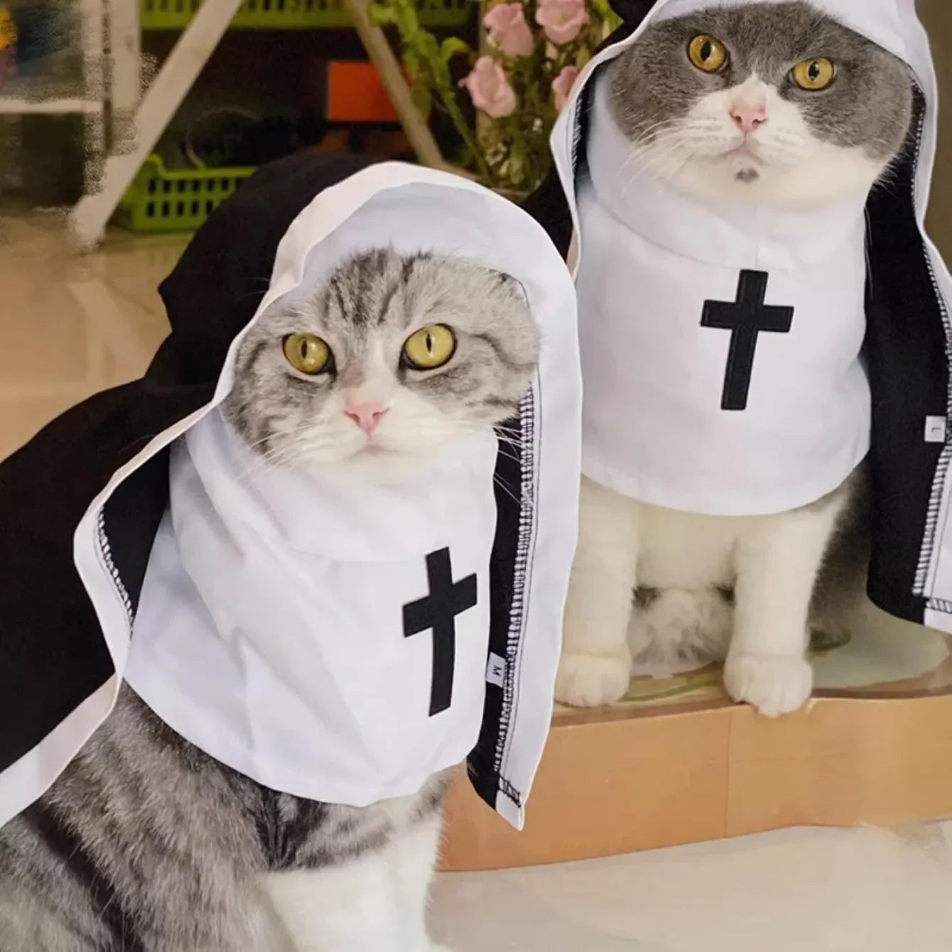 Kawaii Pet Costume 2025 – Cat & Dog Cosplay Nun Cloak Dress for Fun & Creative Play