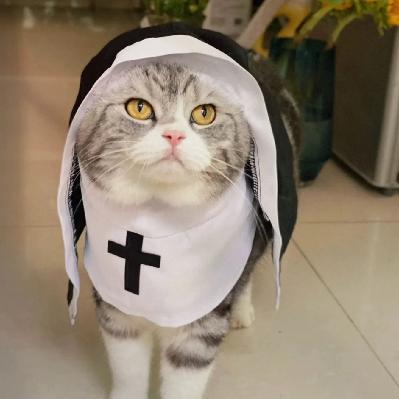 Kawaii Pet Costume 2025 – Cat & Dog Cosplay Nun Cloak Dress for Fun & Creative Play